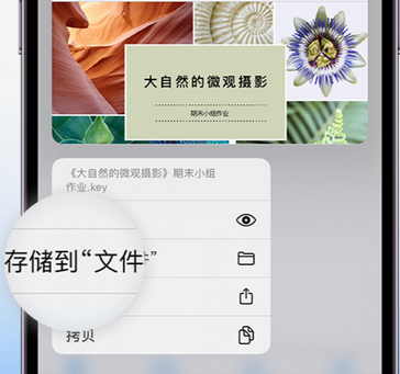 金乡apple维修中心分享iPhone文件应用中存储和找到下载文件