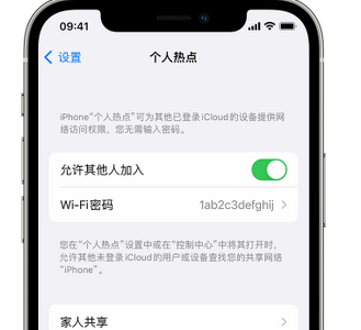 金乡apple服务站点分享iPhone上个人热点丢失了怎么办 