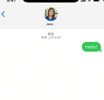 金乡apple维修iPhone上无法正常发送iMessage信息