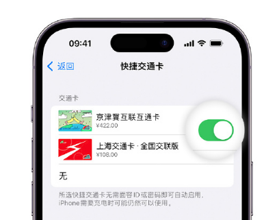 金乡apple维修点分享iPhone上更换Apple Pay快捷交通卡手绘卡面 