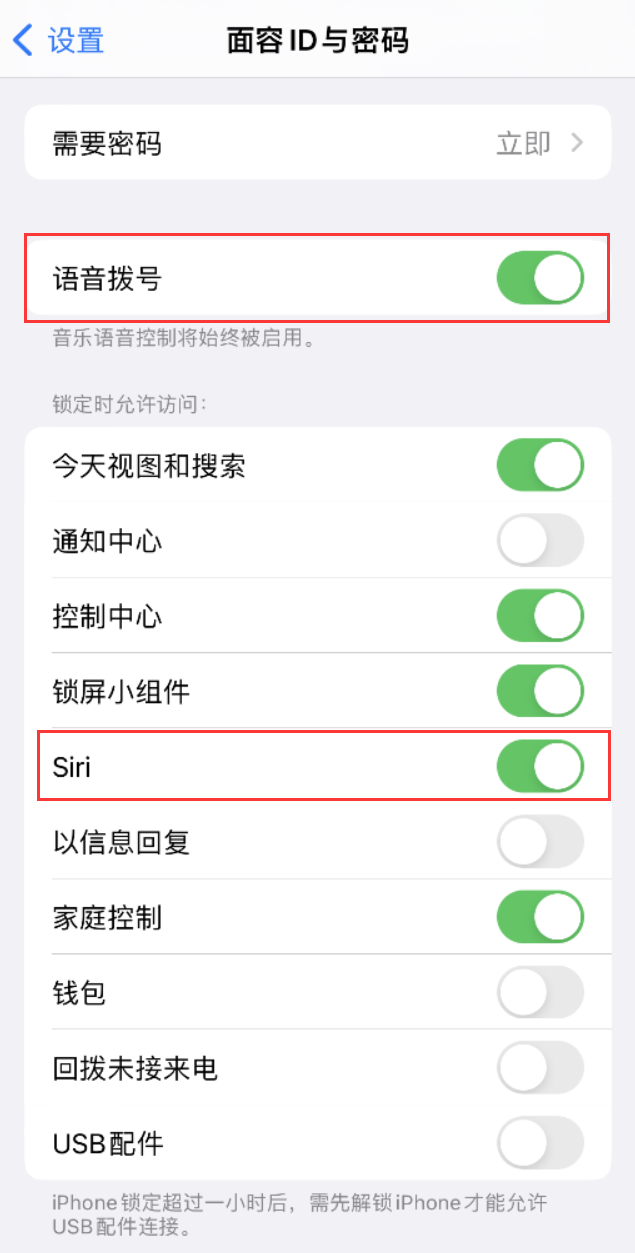 金乡苹果维修网点分享不解锁 iPhone 的情况下通过 Siri 拨打电话的方法 