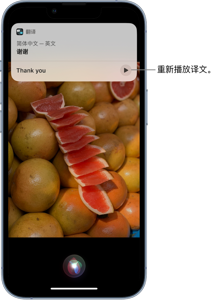 金乡苹果14维修分享 iPhone 14 机型中使用 Siri：了解 Siri 能帮你做什么 