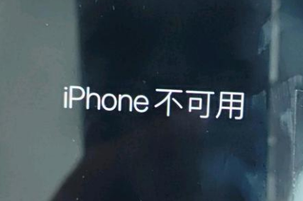 金乡苹果服务网点分享锁屏界面显示“iPhone 不可用”如何解决 