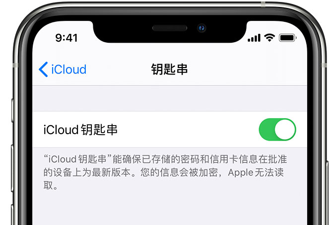 金乡苹果手机维修分享在 iPhone 上开启 iCloud 钥匙串之后会储存哪些信息 