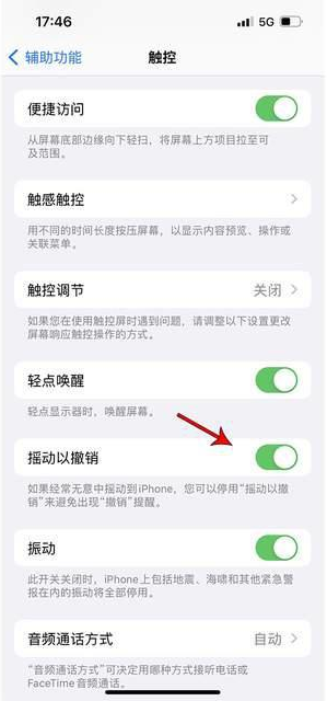 金乡苹果手机维修分享iPhone手机如何设置摇一摇删除文字 