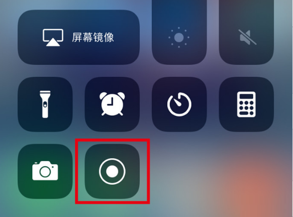 金乡苹果手机维修分享iPhone12录屏方法教程 
